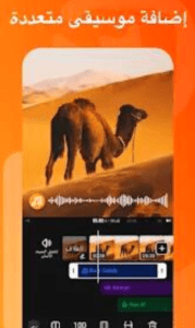 تحميل فيفا فيديو برو 2025 Viva Video Pro اخر اصدار مجانا 1